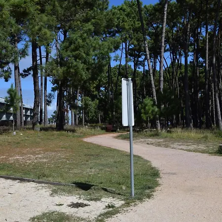 De Mar Y Playa En *